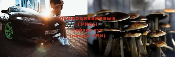 твердый Михайловск