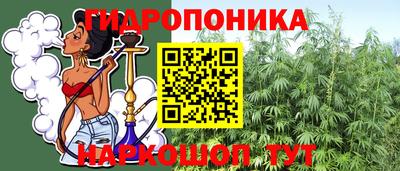 шишки Гай