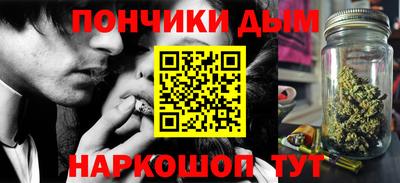 шишки Гай