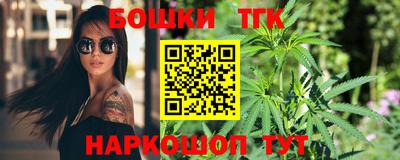 шишки Гай