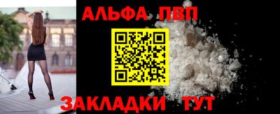 шишки Гай