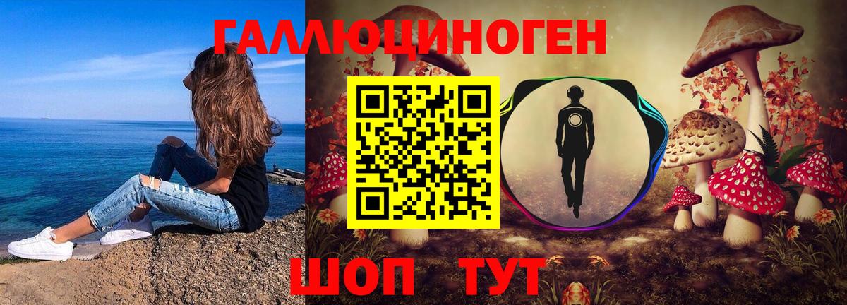 Псилоцибиновые грибы GOLDEN TEACHER Зерноград