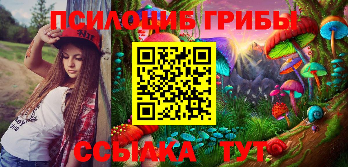 Зерноград  Псилоцибиновые грибы прущие грибы  Вход с VPN 